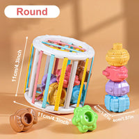 Montessori Baby Toys Stack Pull Blocks Games 0-12 Months Color Shade Sensory Development Learning Educational Toys Babies Infant